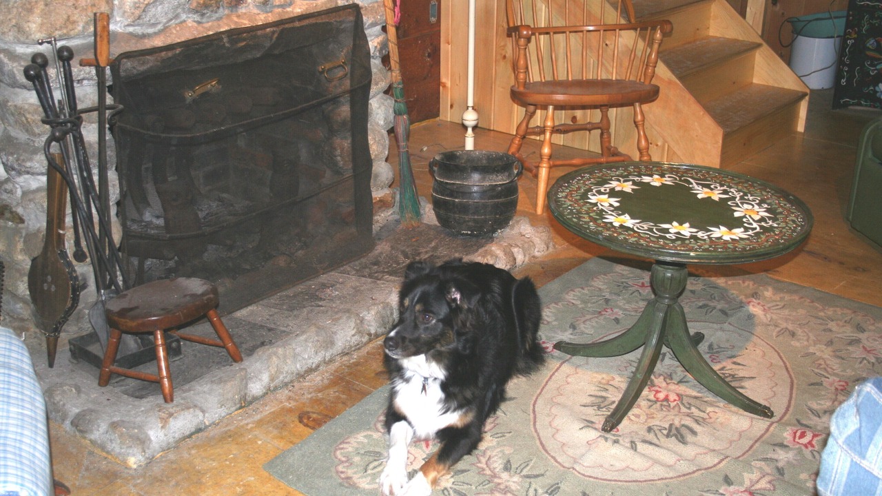 Photo of Livingroom in Bryant Pond