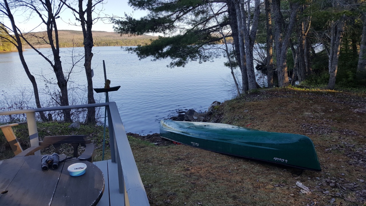 Photo of Outdoor in Eddington