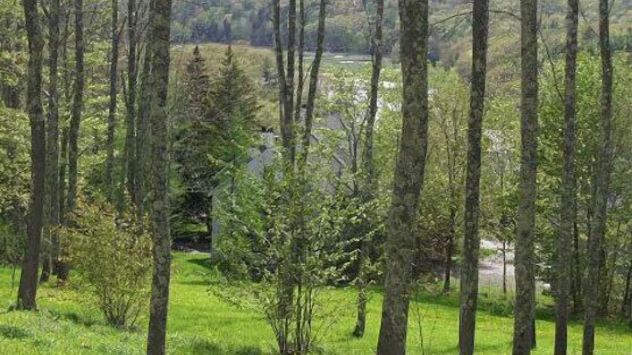Photo of Others in Waldoboro