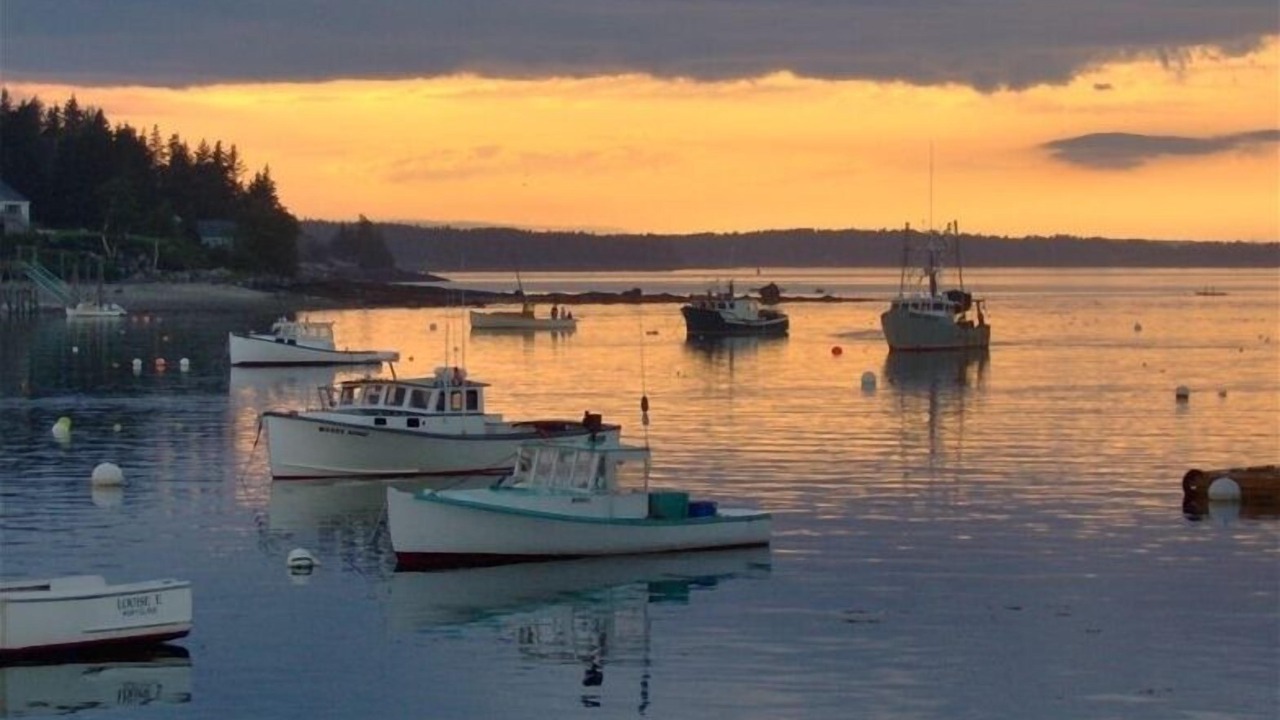 Photo of Others in Port Clyde
