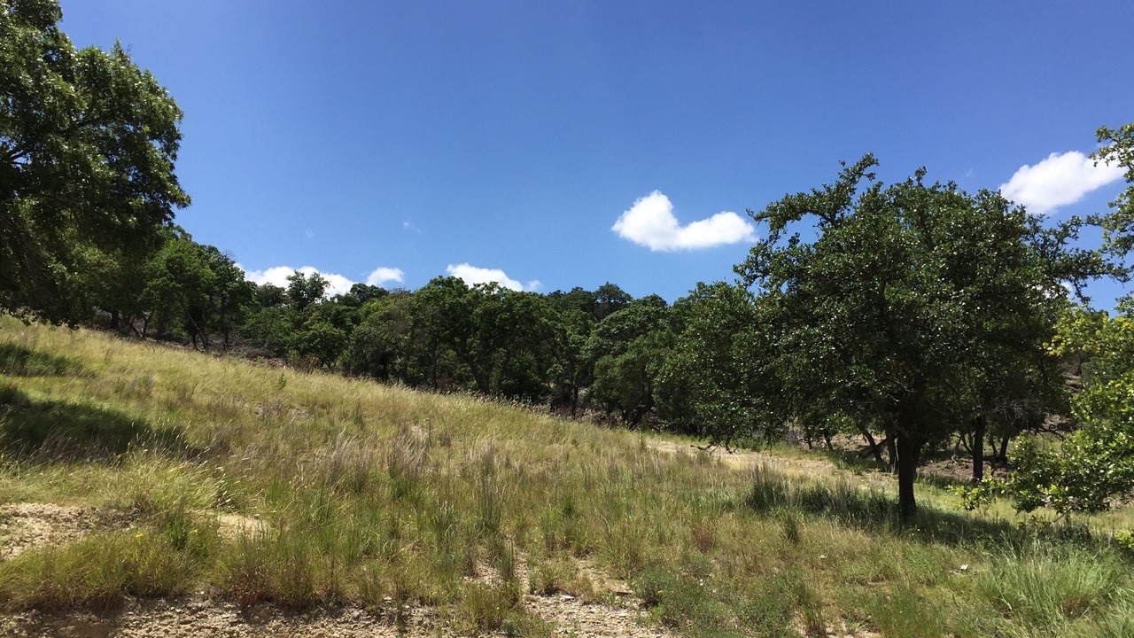 Photo of Outdoor in Ingram