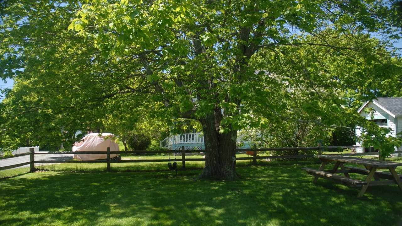 Photo of Others in Peaks Island