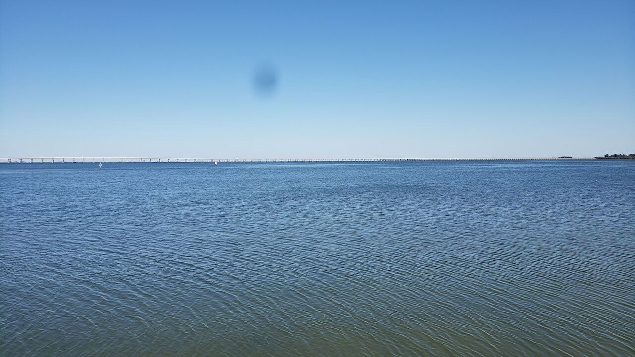Photo of Others in Clearwater