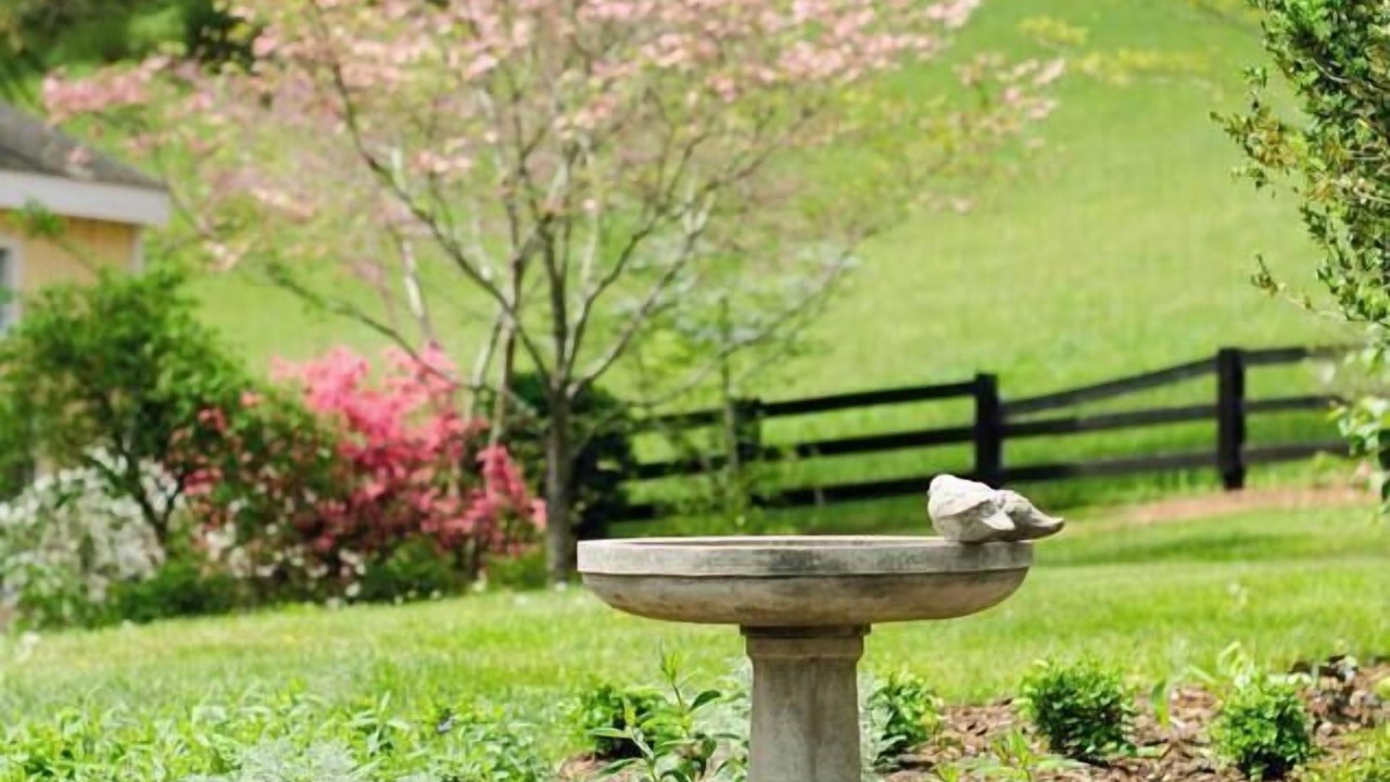Photo of Others in Gordonsville