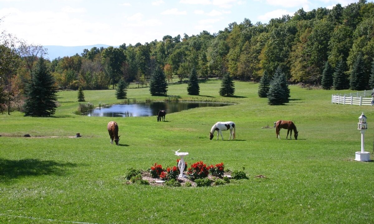 Photo of Outdoor in Greenville