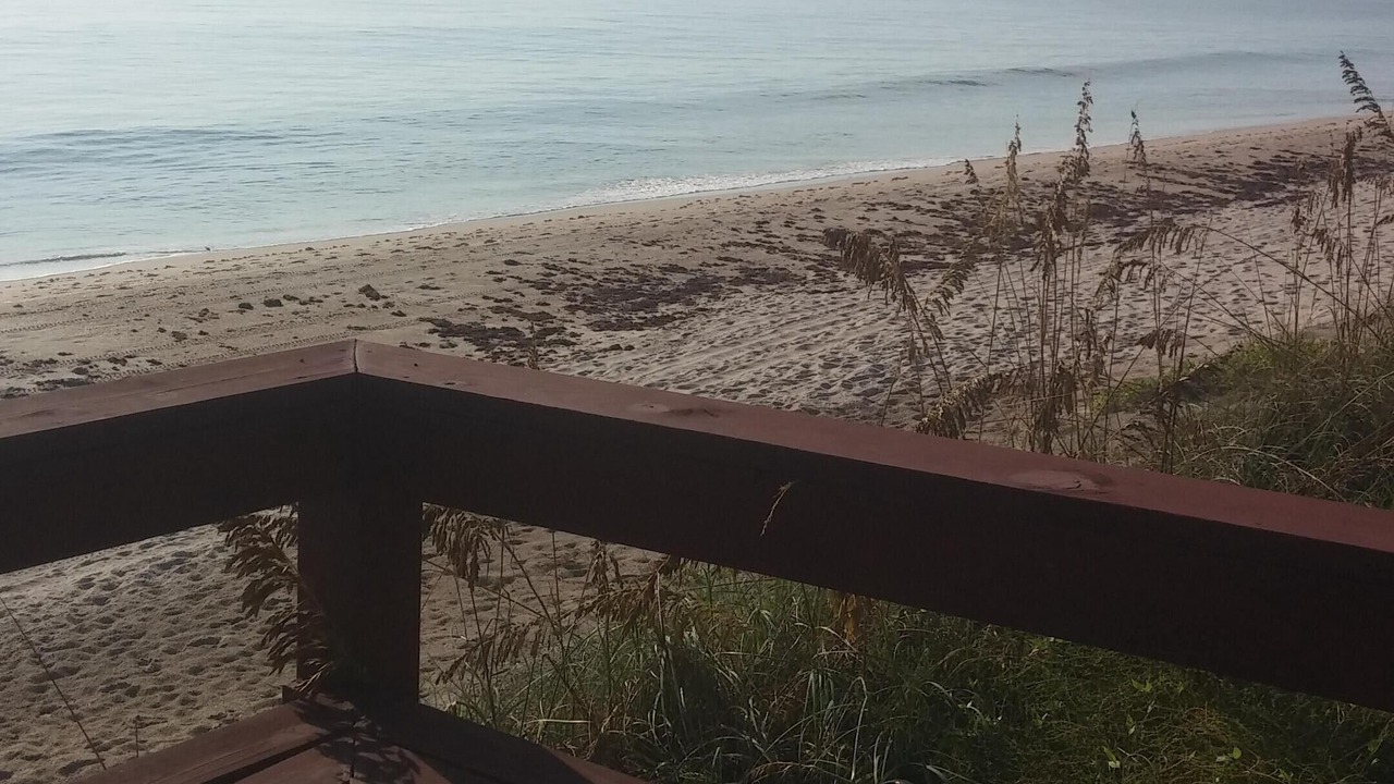 Photo of Outdoor in Central Beach