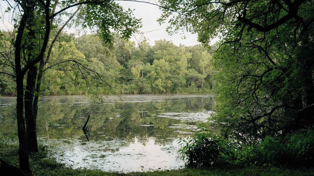 Photo of Outdoor in Branson