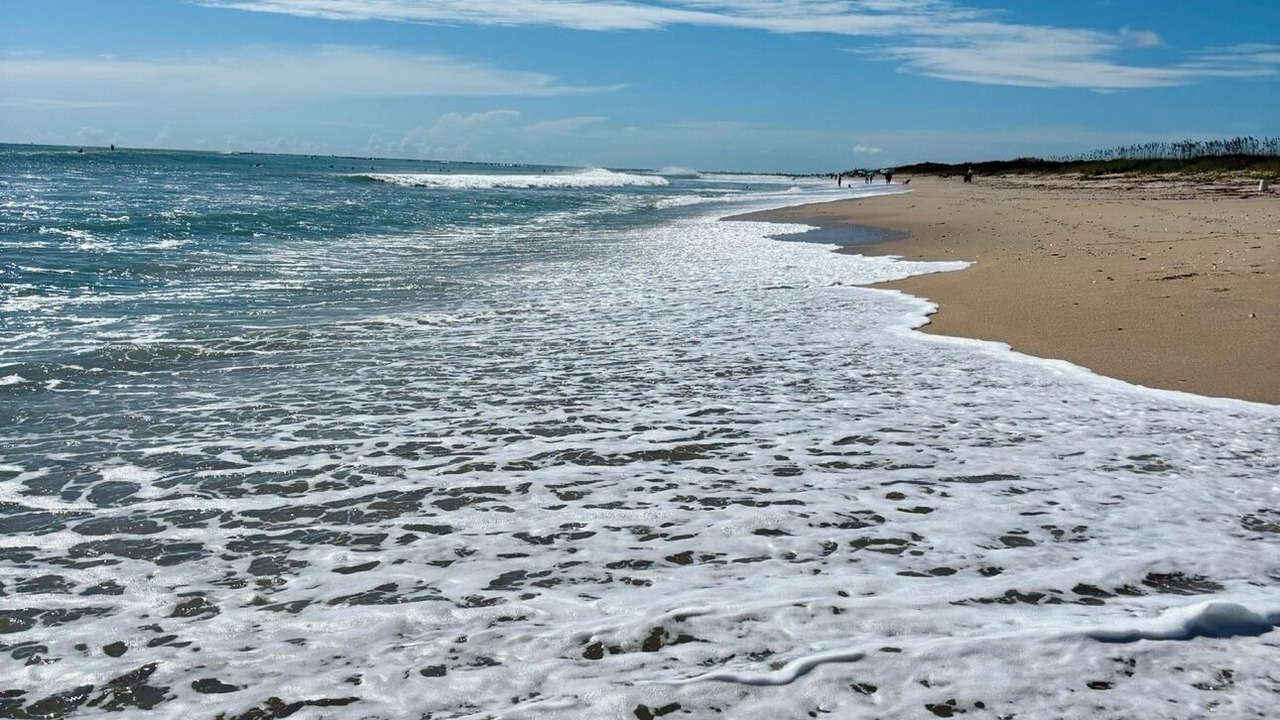 Photo of Others in Fort Pierce Shores