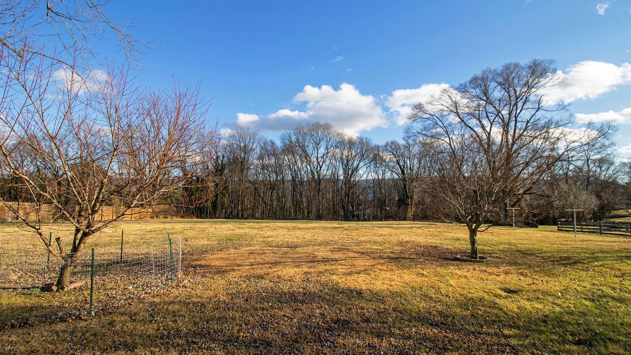 Photo of Outdoor in Woodstock