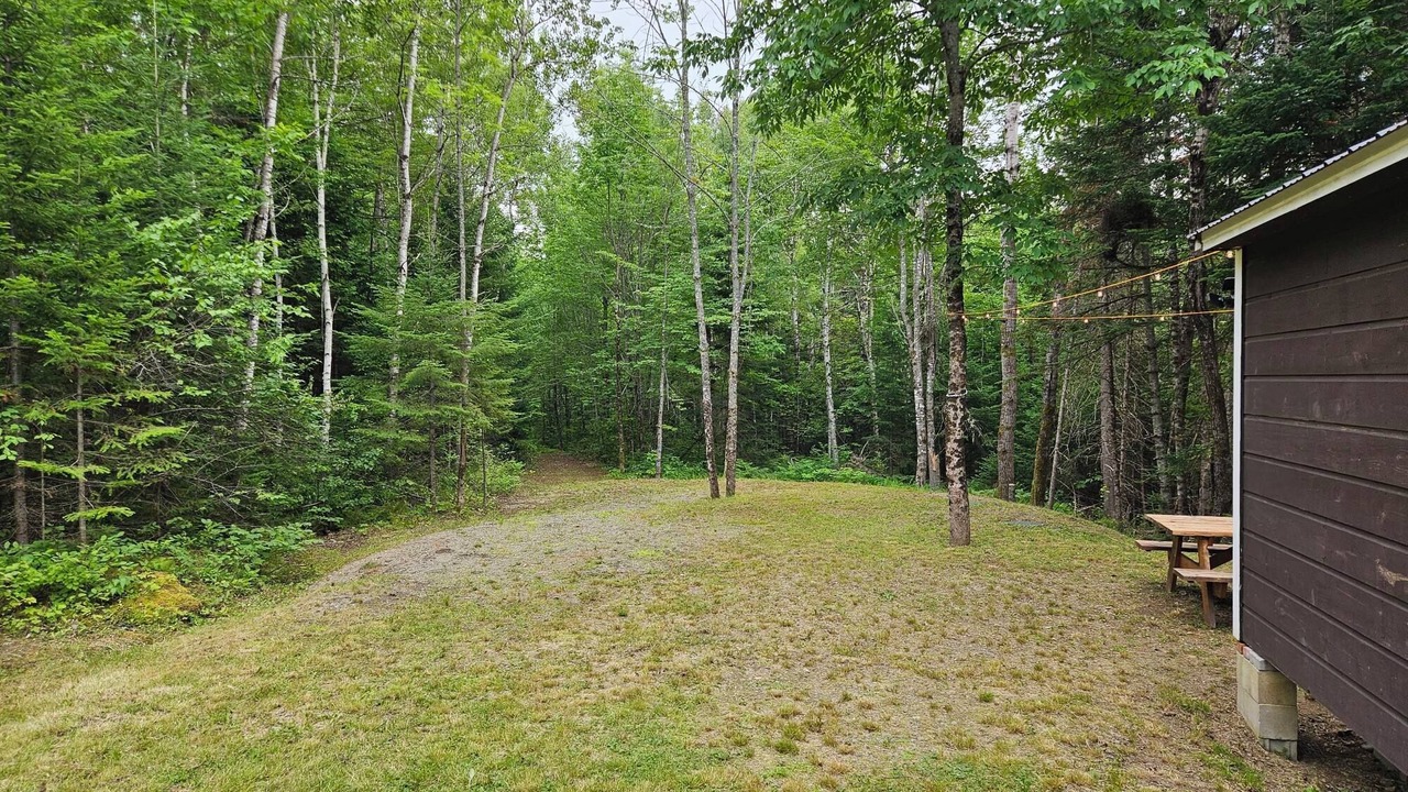 Photo of Outdoor in Smyrna