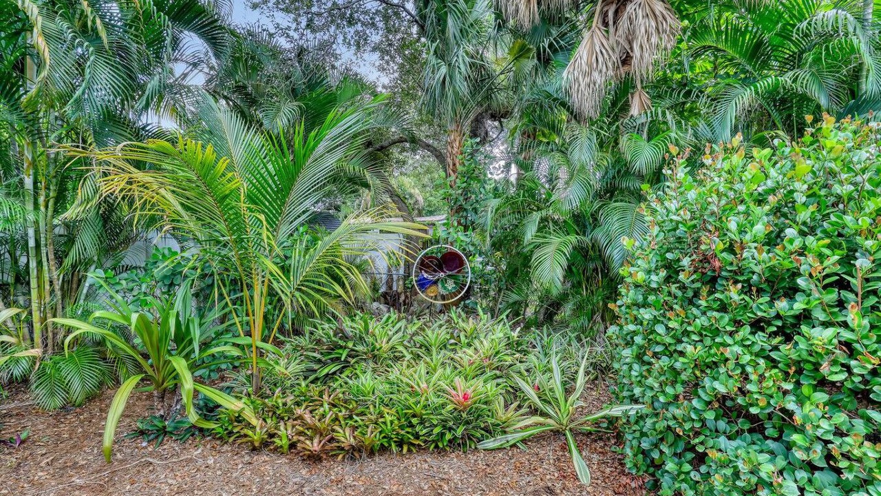 Photo of Outdoor in Palm City