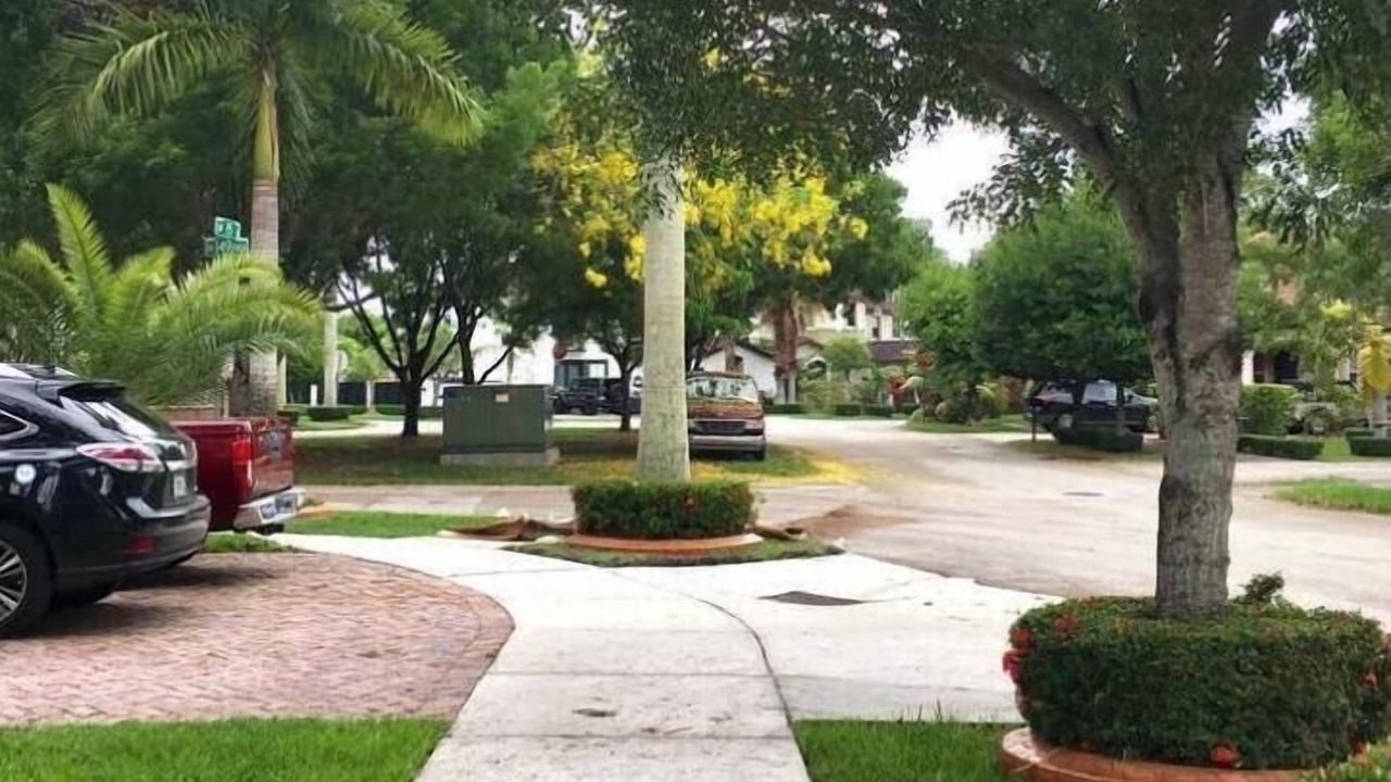 Photo of Outdoor in Tamiami
