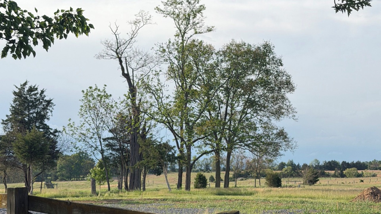 Photo of Others in Martinsburg