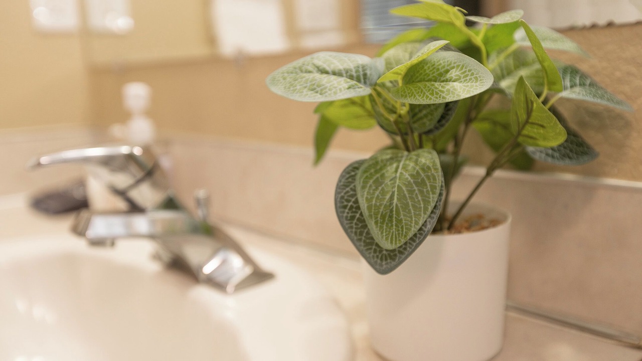 Photo of Bathroom in Veterans Park