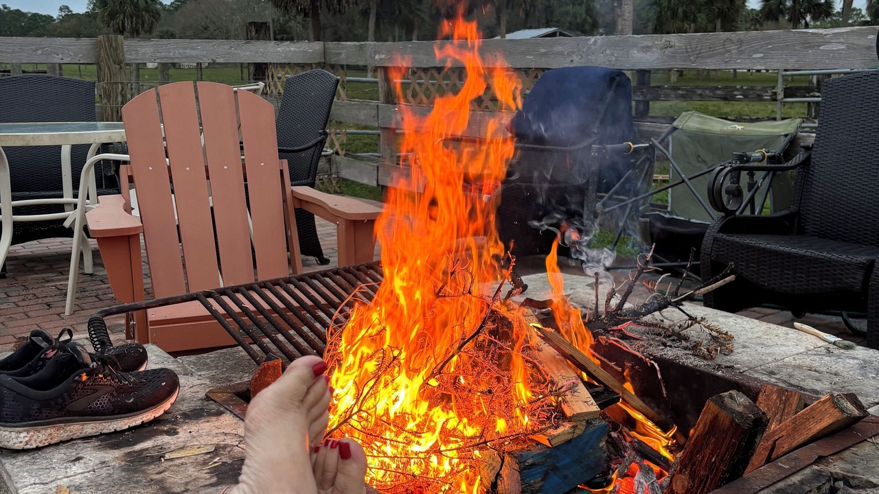 Photo of Outdoor in Palm City