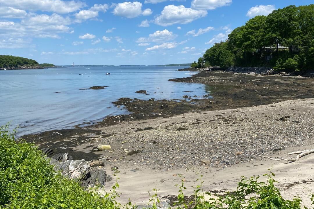 Photo of Others in Peaks Island