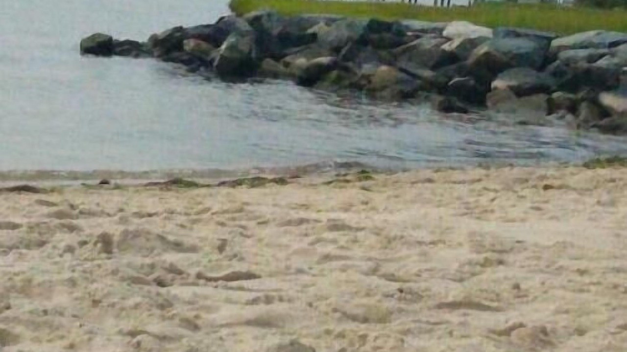 Photo of Others in Sunset Island