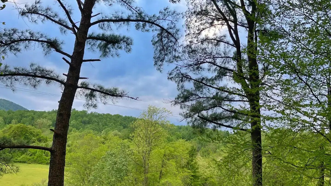 Photo of Outdoor in Woodville
