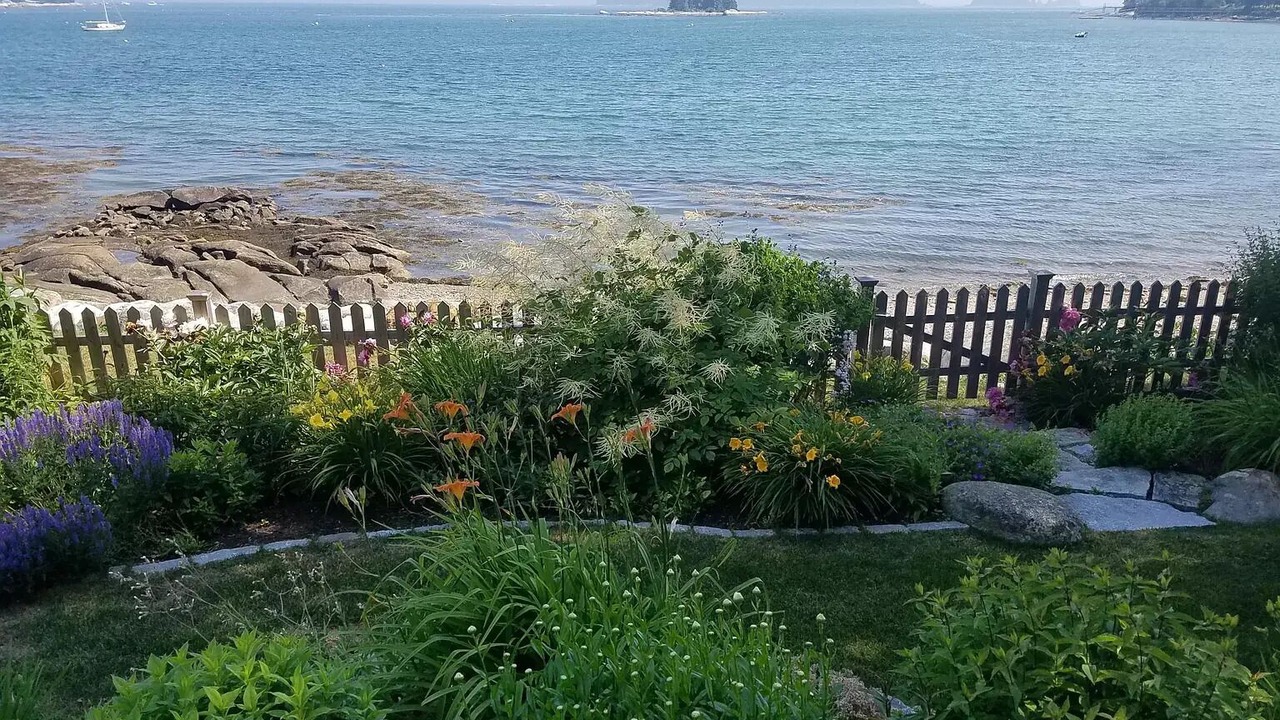 Photo of Outdoor in Spruce Head