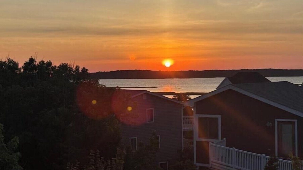 Photo of Outdoor in Fenwick Island