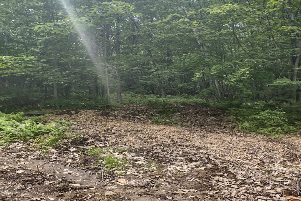Photo of Others in Shapleigh