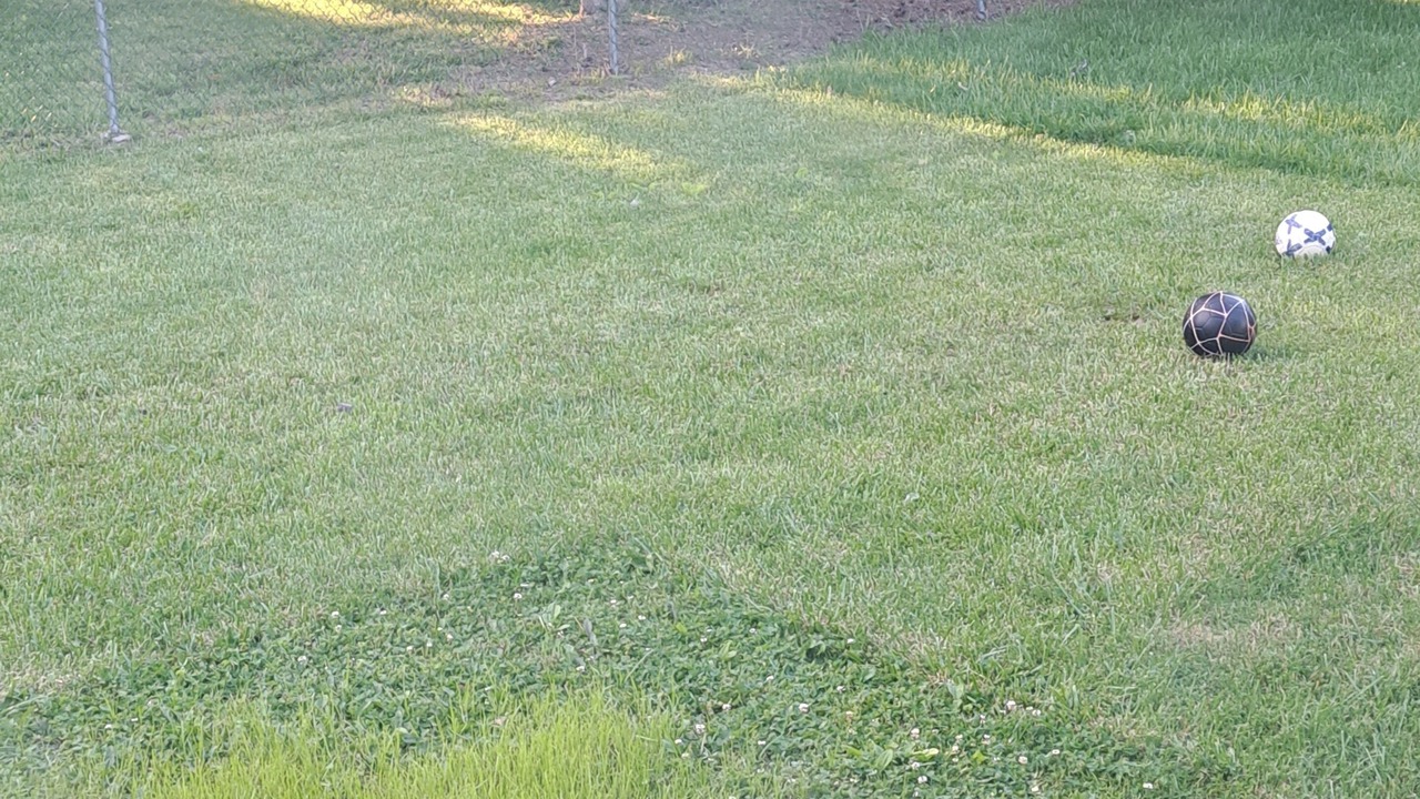 Photo of Outdoor in Stephens City