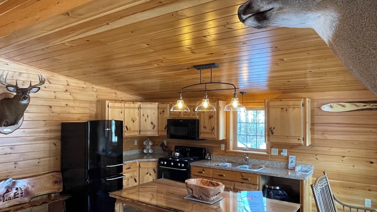 Photo of Kitchen in Bradford