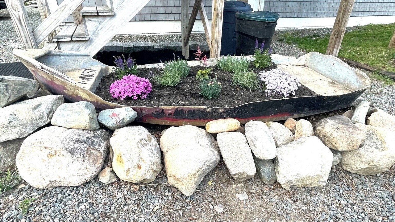 Photo of Outdoor in Seal Cove