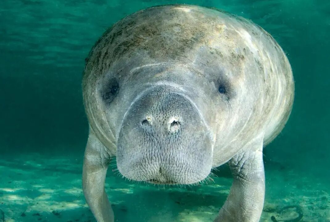 Photo of Others in Florida Shores