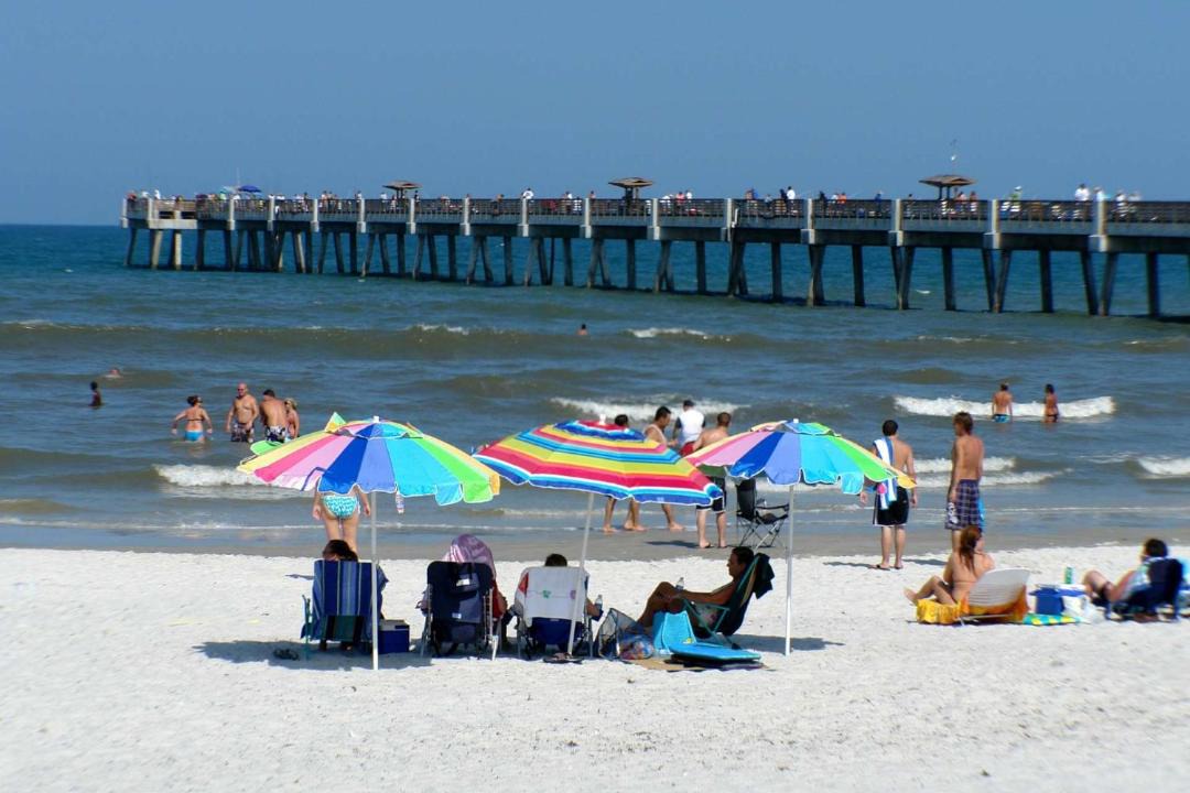 Photo of Others in Green Cove Springs