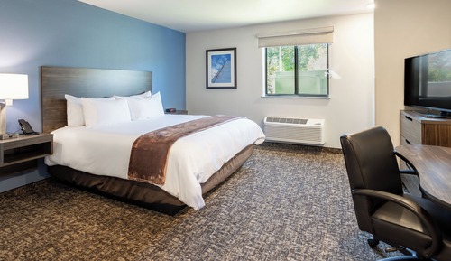 Room, 1 Queen Bed (Hearing, Roll-in Shower)