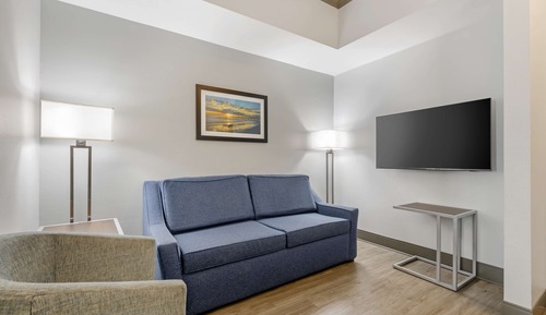 Room, 1 King Bed, Non Smoking, Refrigerator & Microwave (with Sofabed)