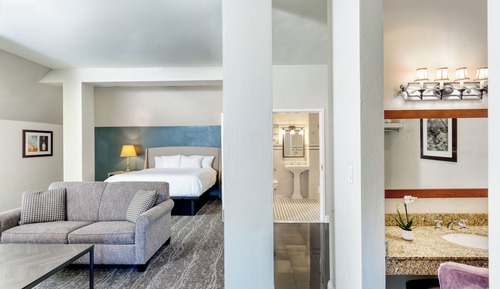 Executive Suite, 1 King Bed