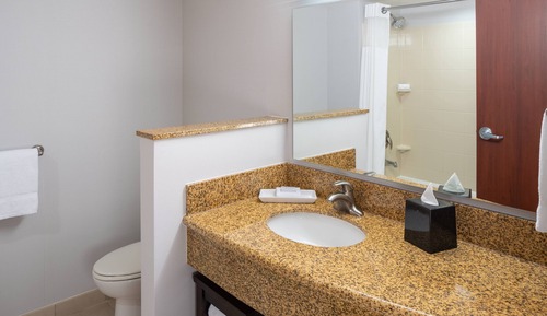 Room, 1 King Bed (Hearing Accessible)