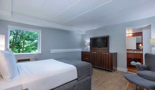 Standard Single Room, 1 Queen Bed